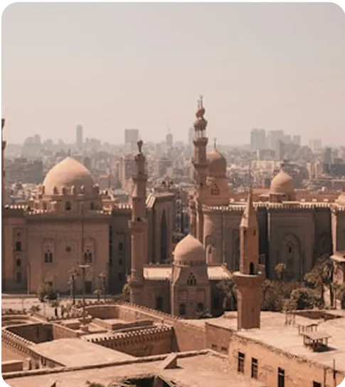 Egyptian professionals collaborating on a project